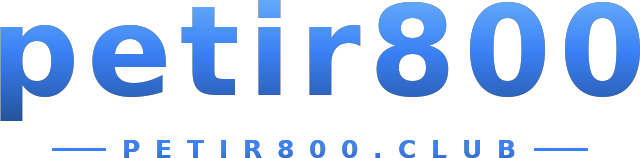 petir800 logo